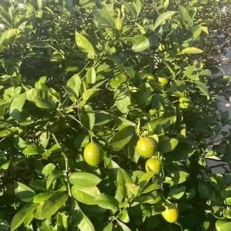 Klara Prázdninový dům *