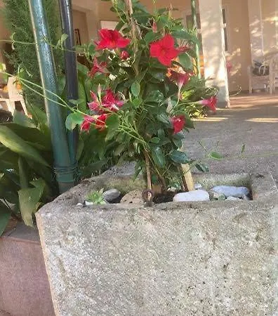 Klara 度假居 奥利布岛