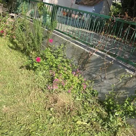 度假居 Klara 奥利布岛