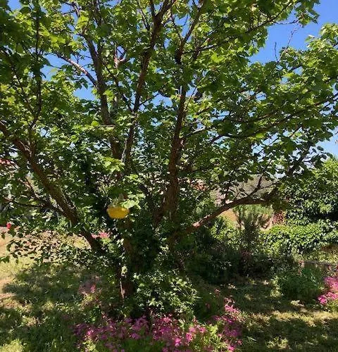 Klara Дом отдыха