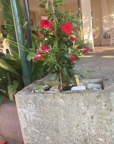 Klara Дом отдыха Олиб