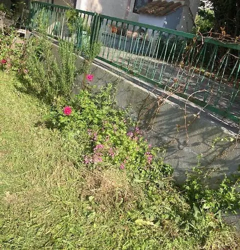 Дом отдыха Klara Олиб